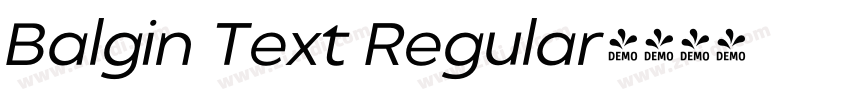 Balgin Text Regular字体转换